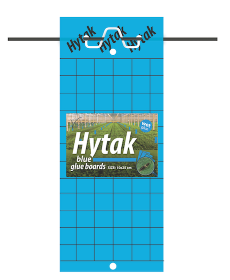 Hytak Wet Glue Board - Blue