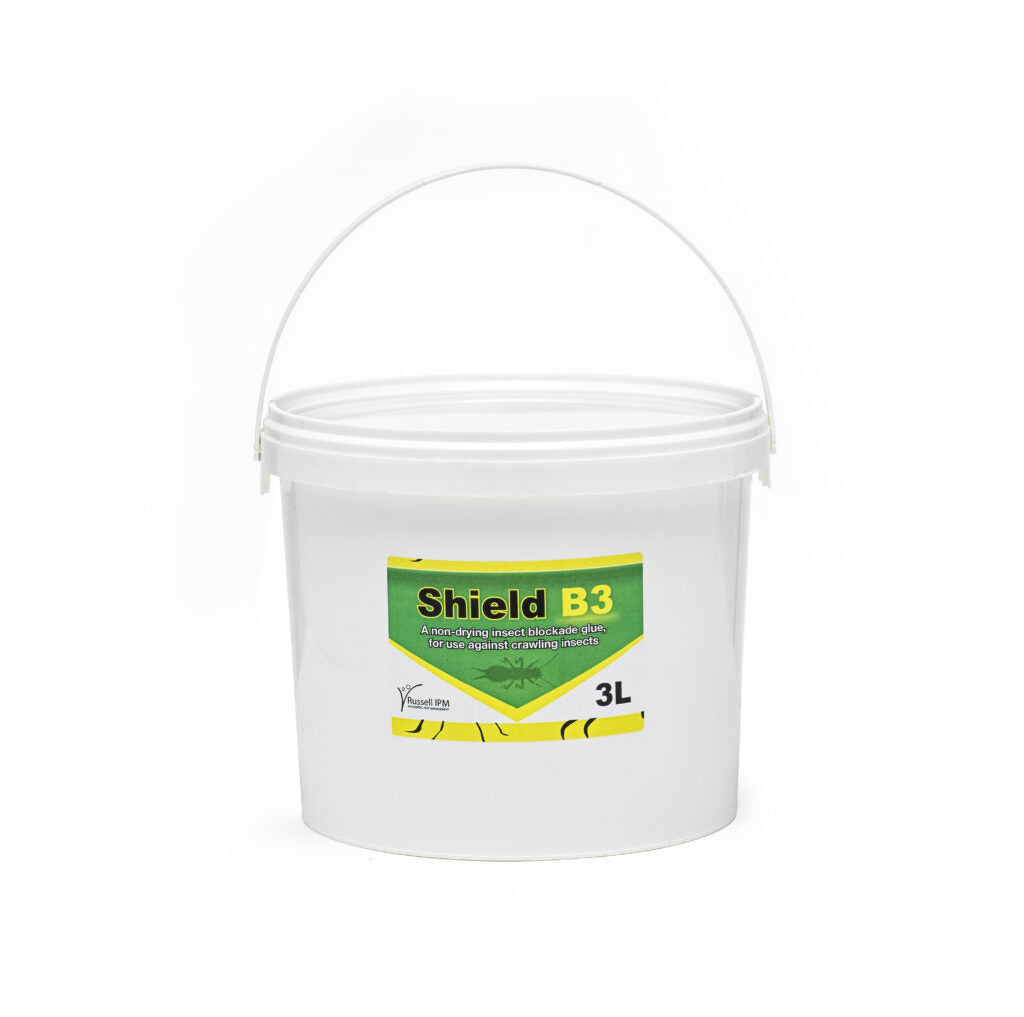 Shield B3 (3L)