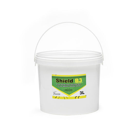 Shield B3 (3L)