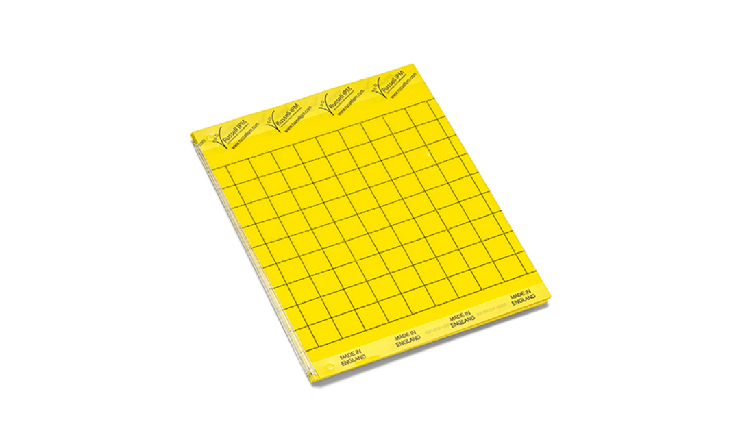 Impact Dry Glue Board - Yellow