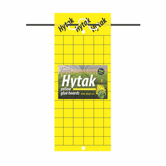 Hytak Wet Glue Board - Yellow